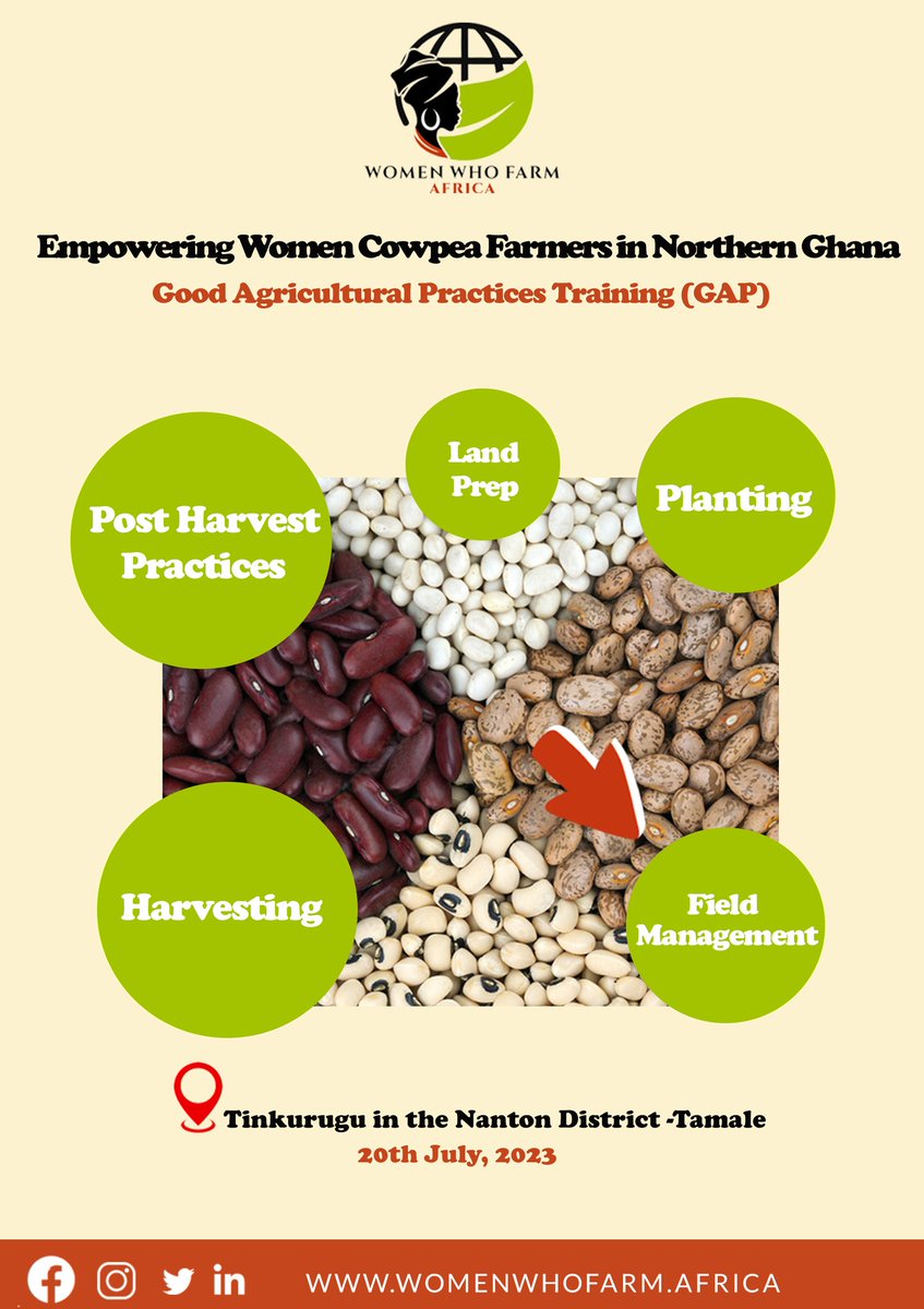 Did you know another name for cowpea is waakye. Join us today at tinkurugu in the nanton district as we learn about field management, leadership and Agribusiness. Stay glued to our page for more information. #womenempoweringwomen @josephopoku1990 @abigaildakoto @Agricissexy