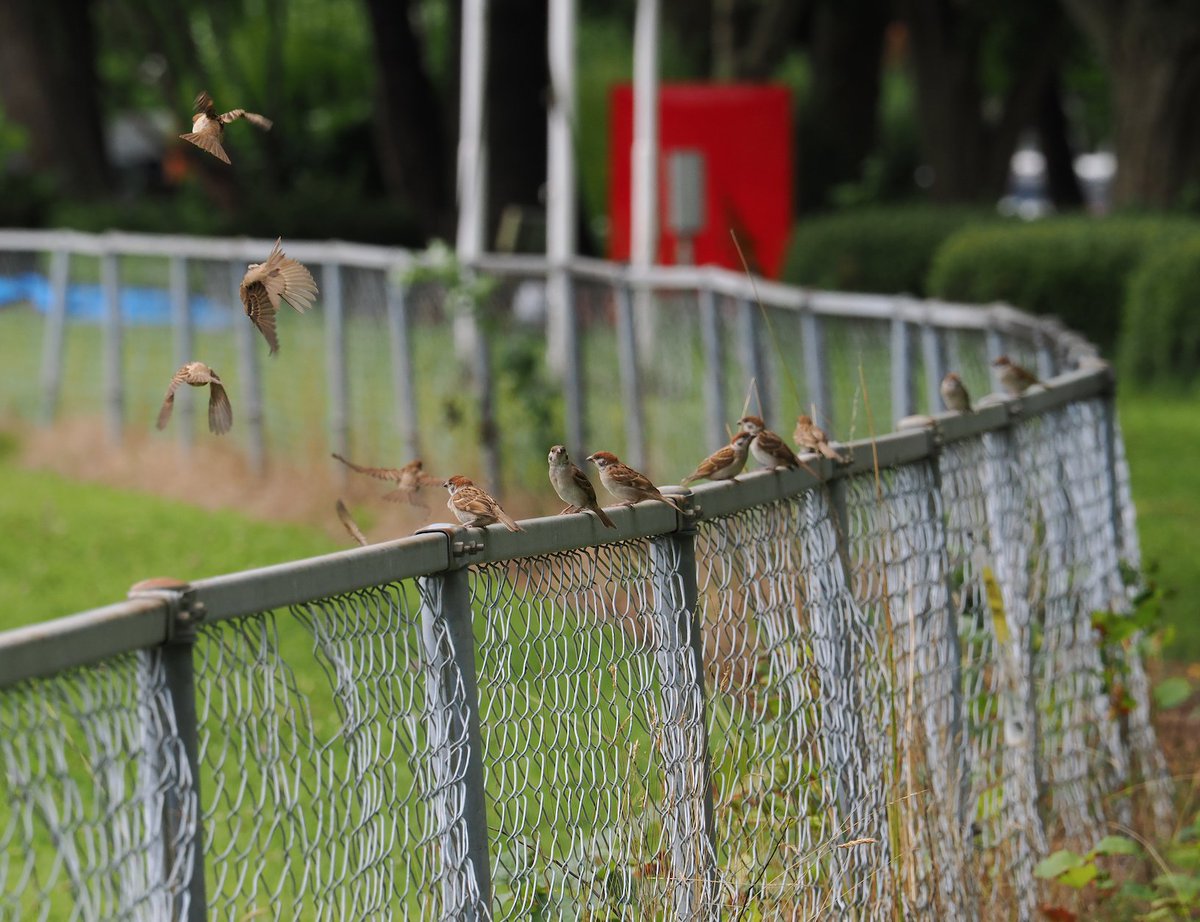 「にしても久々に歩いたら体力が。毎日歩くことに意味があるんだよなぁ……。あと空自の」|KAZE／高橋賢治のイラスト