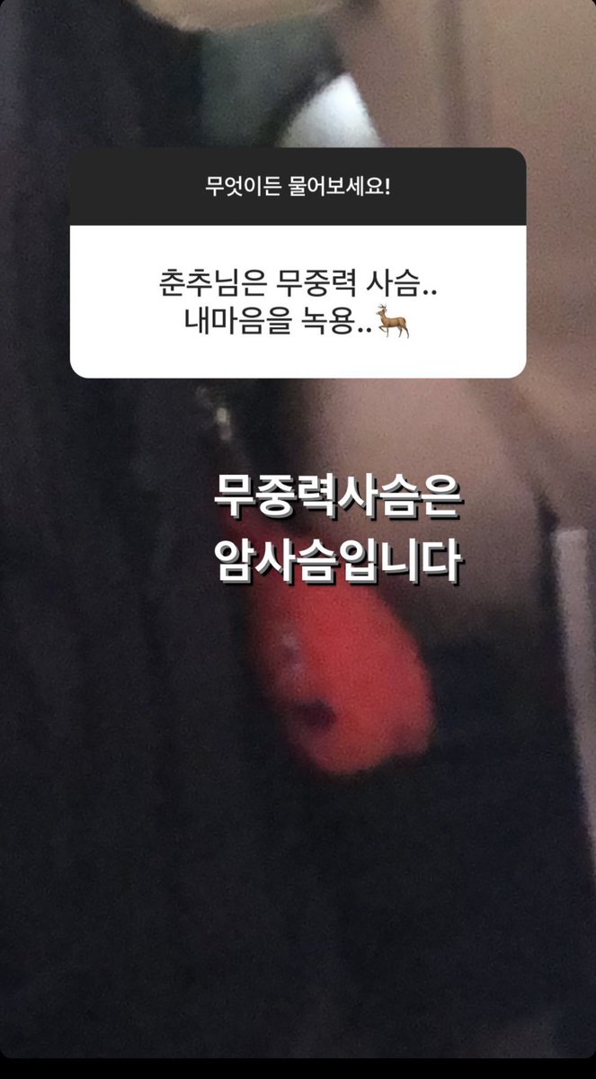 랜덤 실리카겔 2022.03 신서사이즈