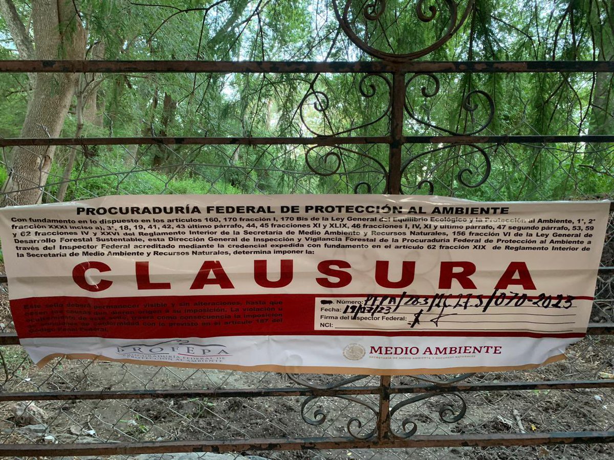 troldans's tweet photo. Mucho trabajo, mucha insistencia y si autoridades concluyen su trabajo de acuerdo a la Ley 
Está próximo a estipular que el area de los  manantiales ¡está dentro de zona Federal! 
@PROFEPA_Mx @conagua_mx 
Ya se estará presentando el documento que lo acredite https://t.co/fgjfQdIQpo