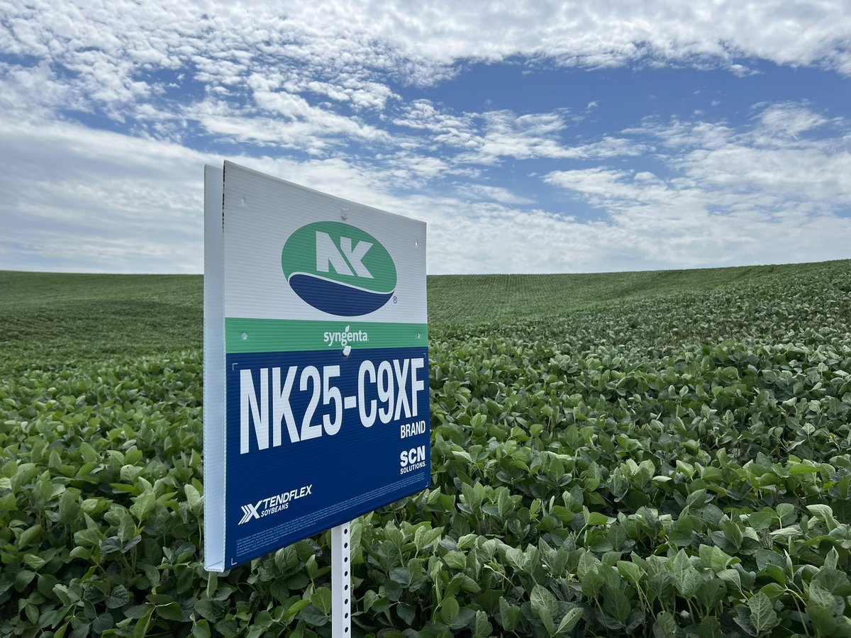 Todd Nitsch tweet media