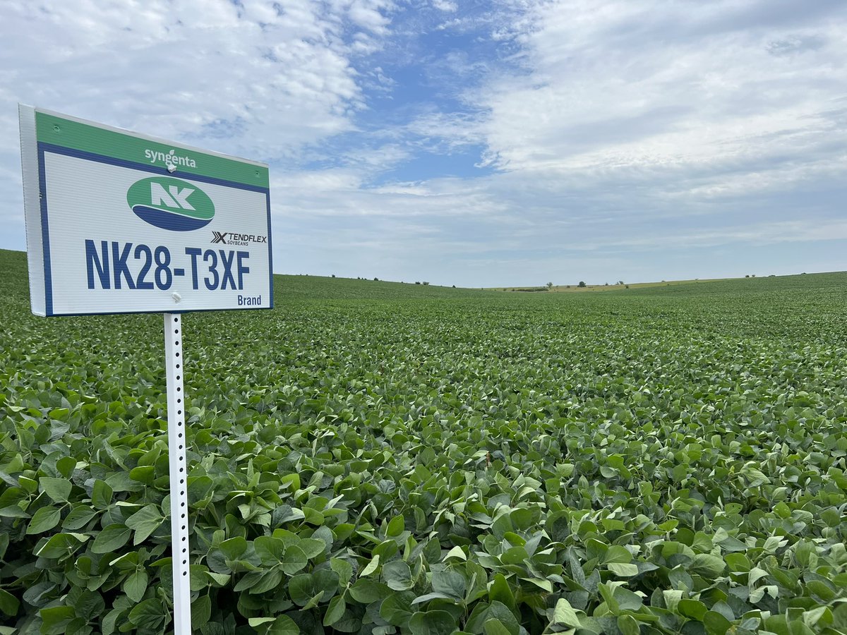 Todd Nitsch tweet media