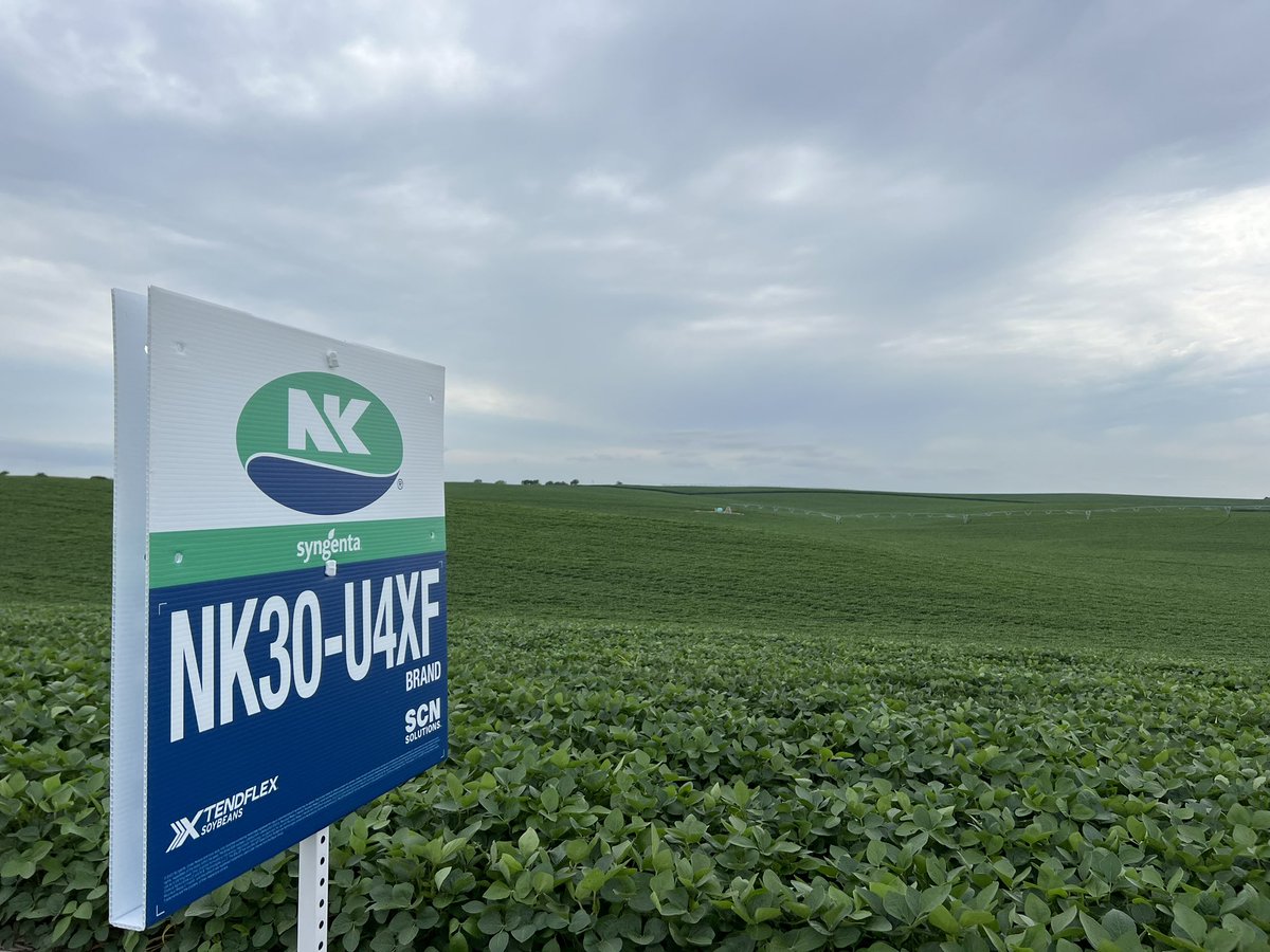 Todd Nitsch tweet media