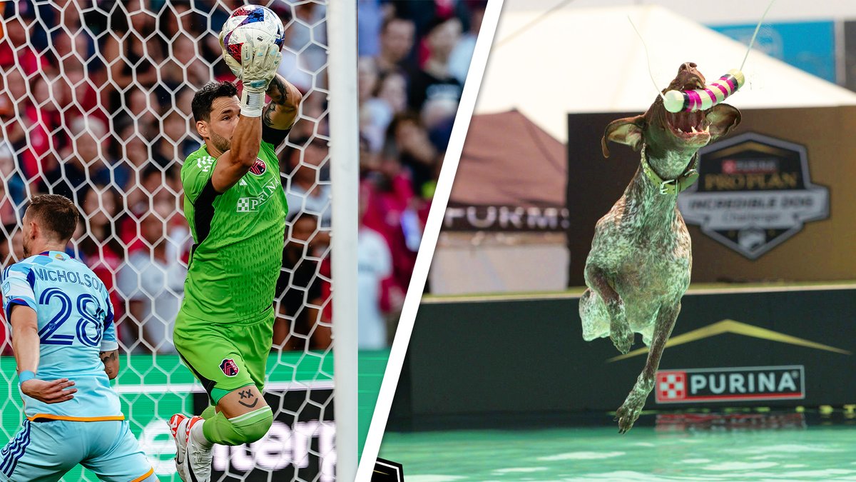 No matter what shape, size or species, amazing performances deserve to be celebrated – whether they're canine competitors from the #incredibledog challenge or our @stlcitysc stars!
Congrats Tim Parker + Roman Bürki! Make us proud in DC! #AllForCITY