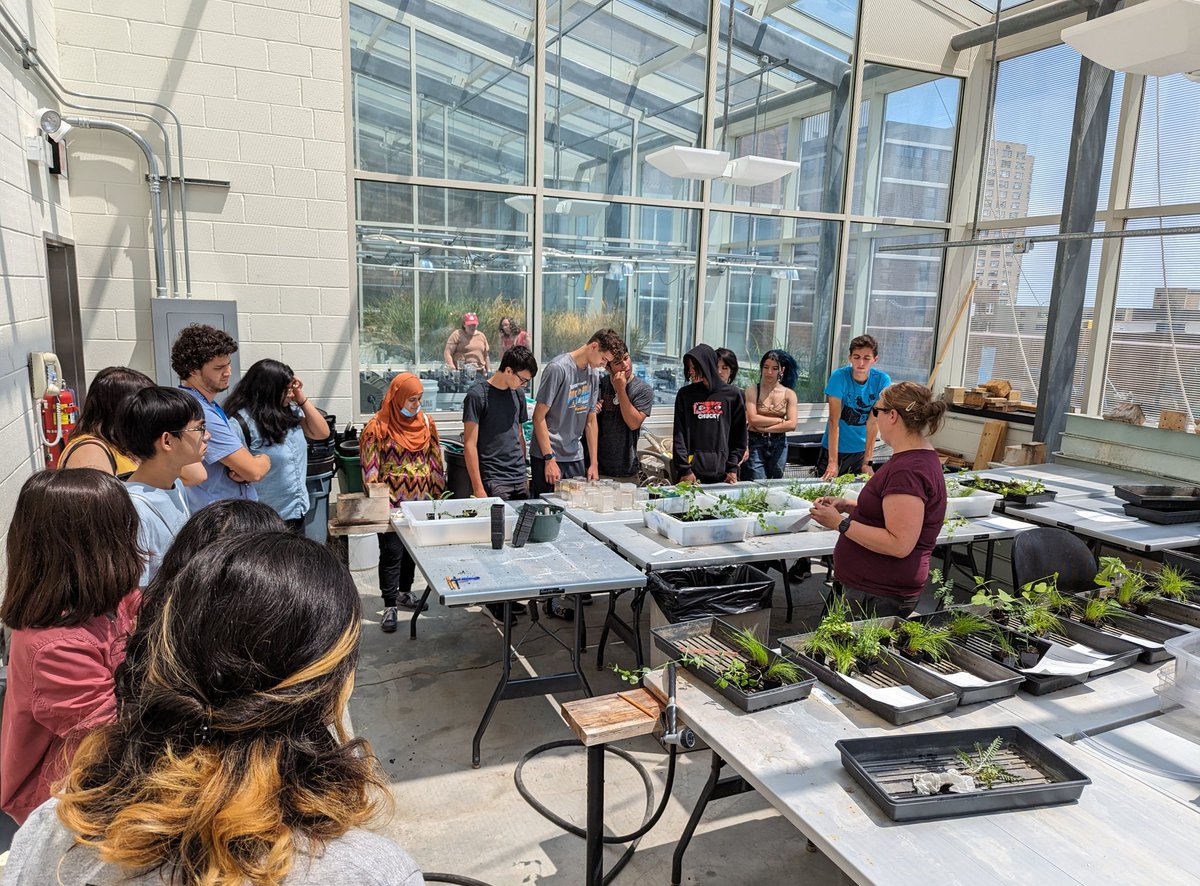 Mike Grillo tweet media