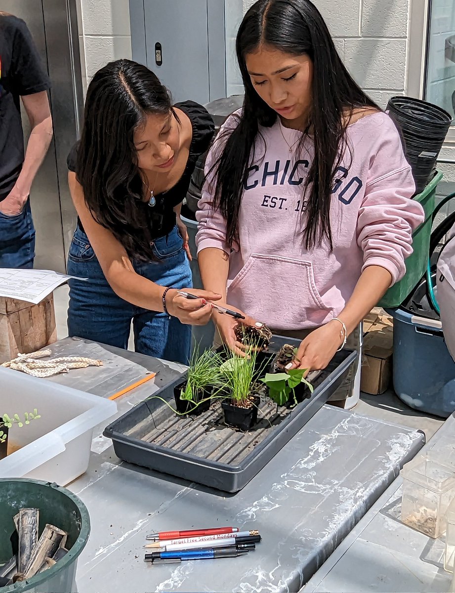 Mike Grillo tweet media