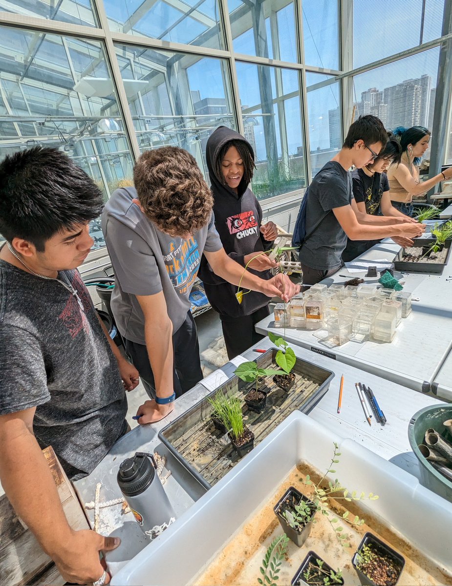 Yesterday we hosted 30 Chicago high school students for a campus tour <a href="/LoyolaChicago/">Loyola University Chicago</a> and piloted a teaching module developed by RETs in my lab involving legume-rhizobium interactions.