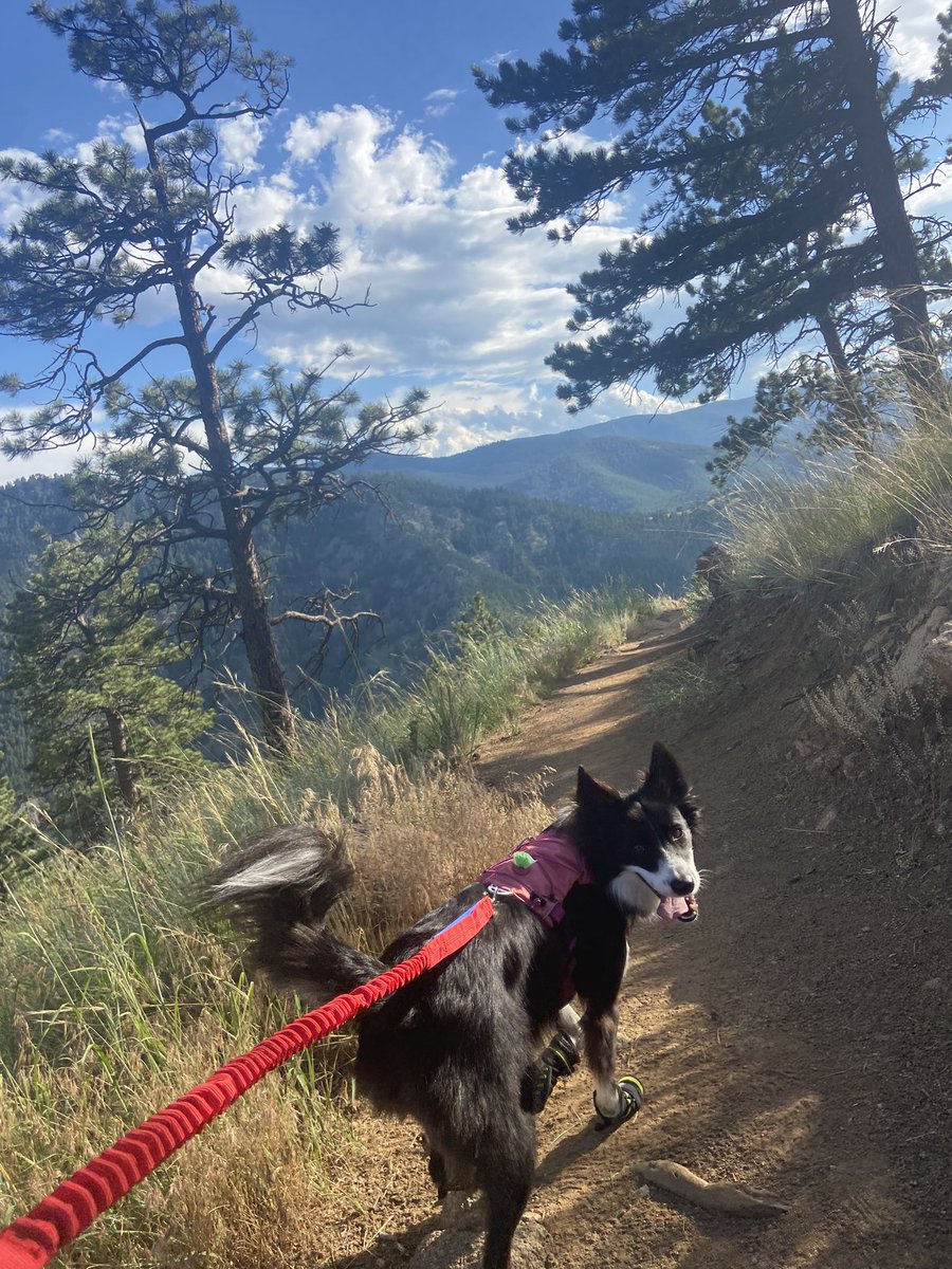 RyleePierce9's tweet photo. My Trip To Denver Has Consisted of...
Day 1 Beep Test
Day 2 Beep Test
Day 3 50yd Sprints and Team Practice
Day 3 Played 90 Minutes Game 1, got a nice slide tackle in (white #41)
Day 4 Played 90 Minutes Game 2 and a 3 Hour high elevation hike 
Going on day 5 tomorrow! https://t.co/tSHpSzoUx7