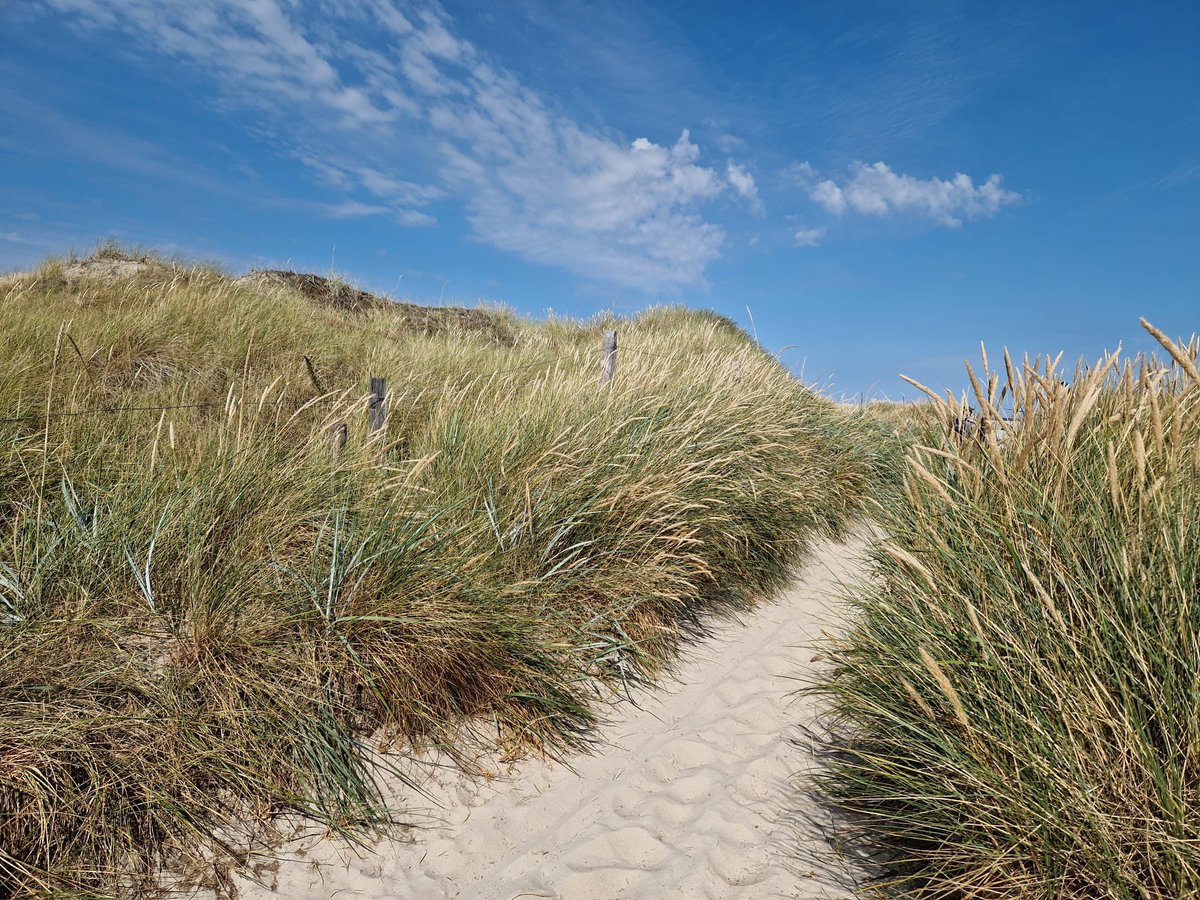 <a href="/GreatLaugh/">KayZee🌵🌞</a> Happy TBT KayZee 🔆🩵😃