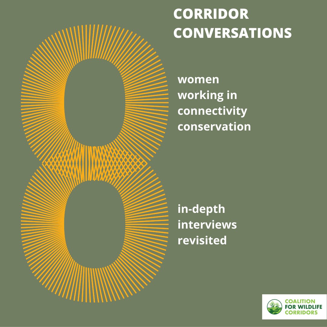 cocoforwild's tweet photo. We talked with scientists, conservationists and managers as a part of our series on women working in the field of connectivity conservation. Read the #CorridorConversations series here!
https://t.co/scuvqKZtfv
#cocoforwild #womeninconservation https://t.co/1a9Uq5lRxR