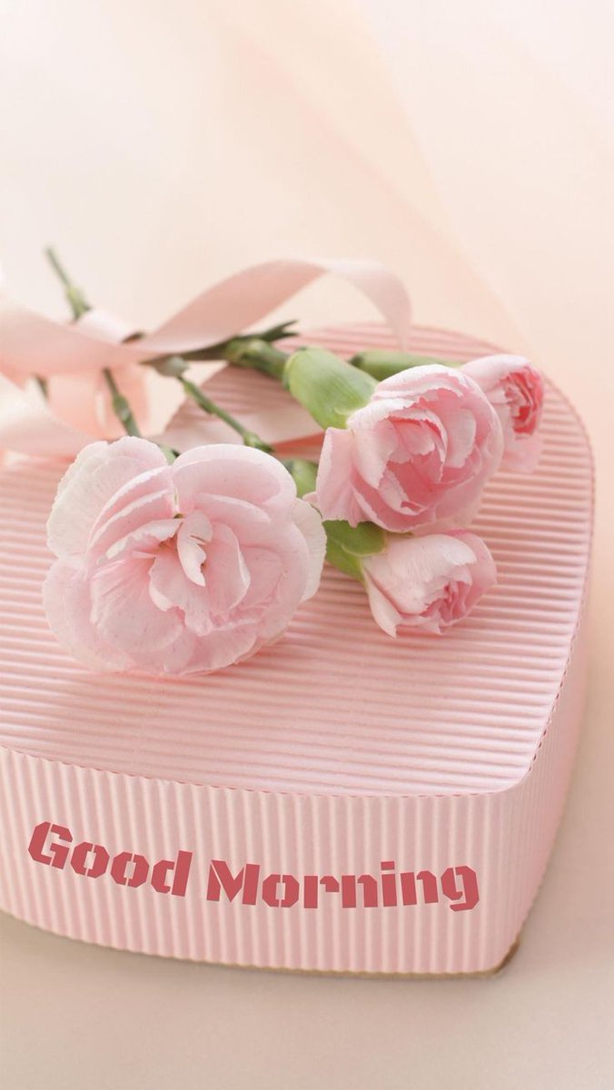 ChandanGoldar9's tweet image. Good morning 🌹🌹🌹🌹❤❤❤❤my all dear