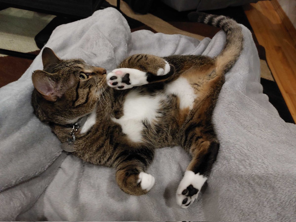Suki tweet media