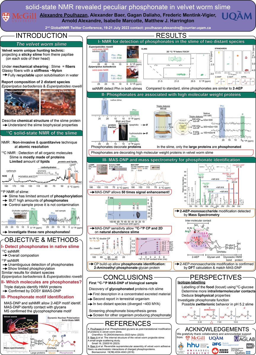 Alexandre Poulhazan (@alexpoulhazan) on Twitter photo Let's explore a peculiar protein modification detected combining #SSNMR, MAS-DNP (Thank you <a href="/DNPFred/">Frederic Mentink-Vigier</a>!) and mass spectrometry in <a href="/BioinspiredMatt/">Matthew J. Harrington</a> velvet worm slime. Here we report glycophosphonated proteins, a rare modification in nature.
#GlobalnmrTC2023 #NationalMagLab #NMRchat Let's explore a peculiar protein modification detected combining #SSNMR, MAS-DNP (Thank you <a href="/DNPFred/">Frederic Mentink-Vigier</a>!) and mass spectrometry in <a href="/BioinspiredMatt/">Matthew J. Harrington</a> velvet worm slime. Here we report glycophosphonated proteins, a rare modification in nature.
#GlobalnmrTC2023 #NationalMagLab #NMRchat