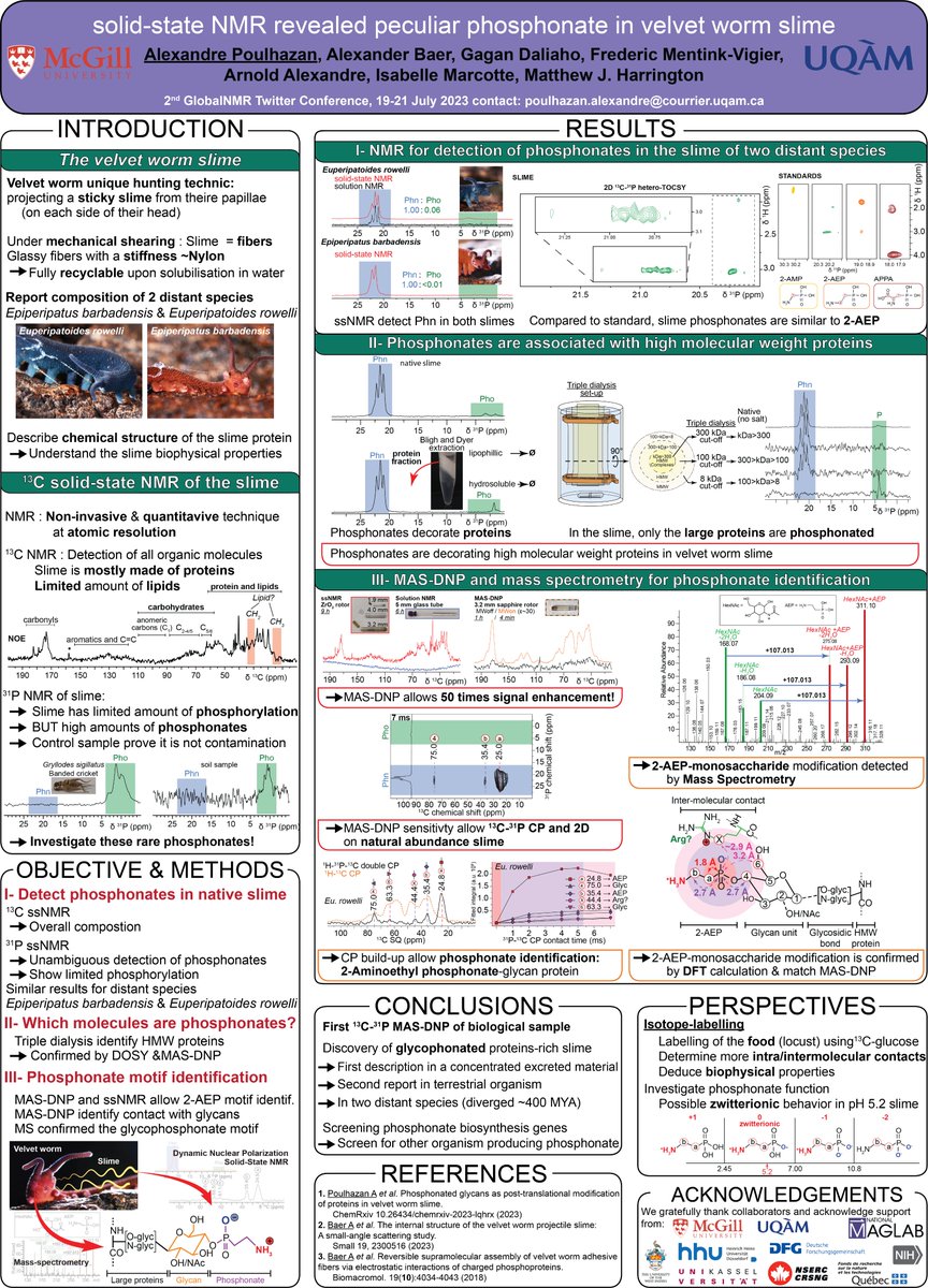 Let's explore a peculiar protein modification detected combining #SSNMR, MAS-DNP (Thank you @DNPFred!) and mass spectrometry in @BioinspiredMatt velvet worm slime. Here we report glycophosphonated proteins, a rare modification in nature.
#GlobalnmrTC2023 #NationalMagLab #NMRchat