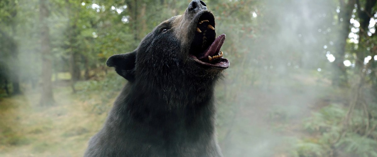 Candy Wife of the Day: Cocaine Bear from Cocaine Bear