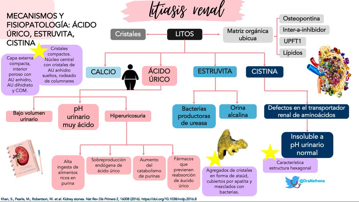 DraNefrona's tweet photo. 🩵LITIASIS RENAL 
Del baúl de los recuerdos de una exposición que hice alguna vez. 
✨ Valores normales de Na, P, Ca, Oxalato, Citrato, AU, etc en orina de 24 h
✨ Mapa conceptual de litos de Calcio
✨ Mapa conceptual de litos de Ácido úrico, Estruvita y Cistina. 
#QuieroSerNefro https://t.co/1ooNjoZAkp