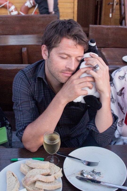 shawtiell's tweet photo. him and this penguin plushie https://t.co/qYn4Nl7sMr