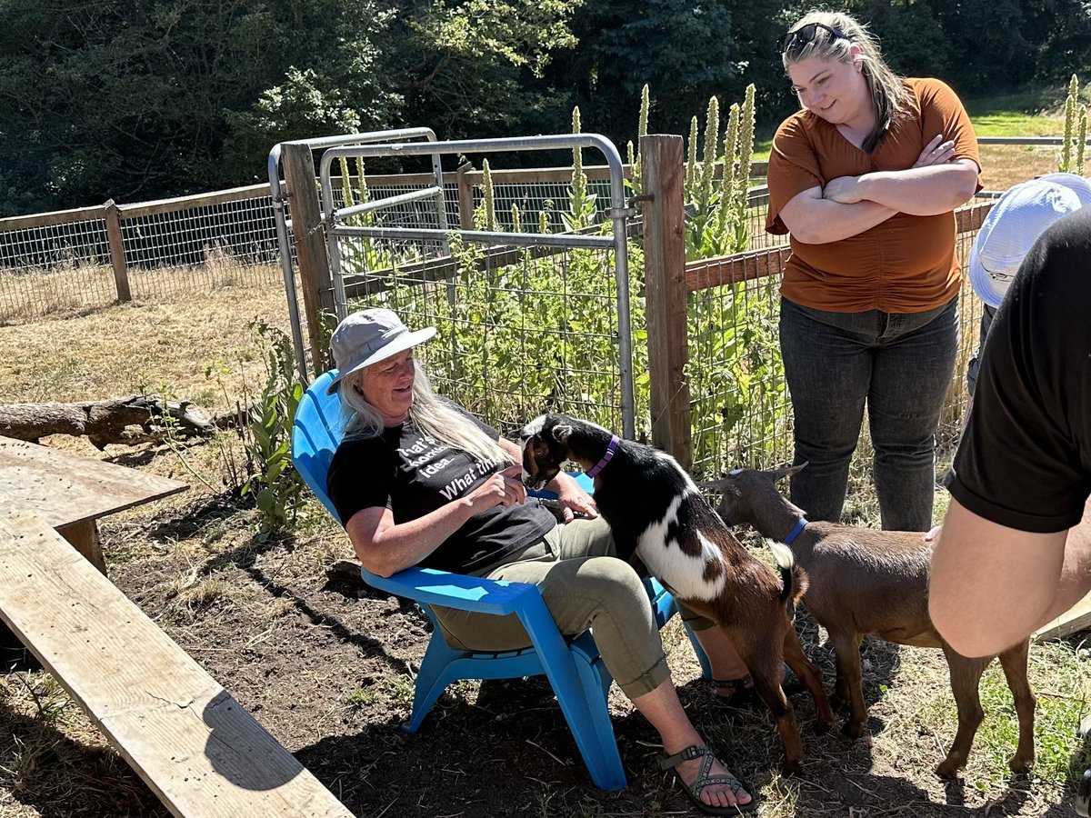 It's Matthew tweet media