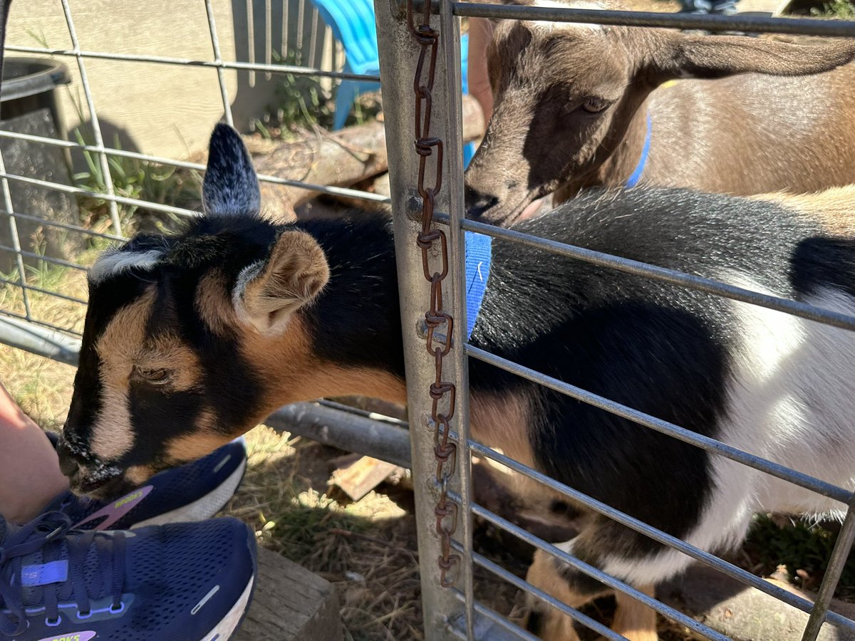 It's Matthew tweet media