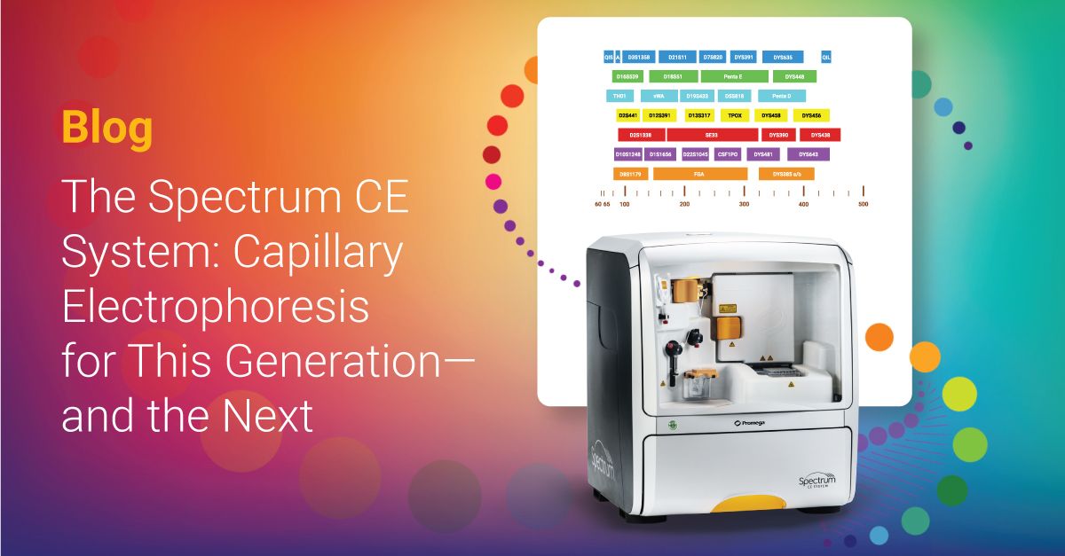 Last year, we introduced the power of 8-colour STR chemistry to the DNA forensics community. Learn how the Spectrum CE and PowerPlex® 35GY System can help your lab tackle challenging samples and solve more cases: bit.ly/43sAGXa

#DNAforensics #STRanalysis #forensics