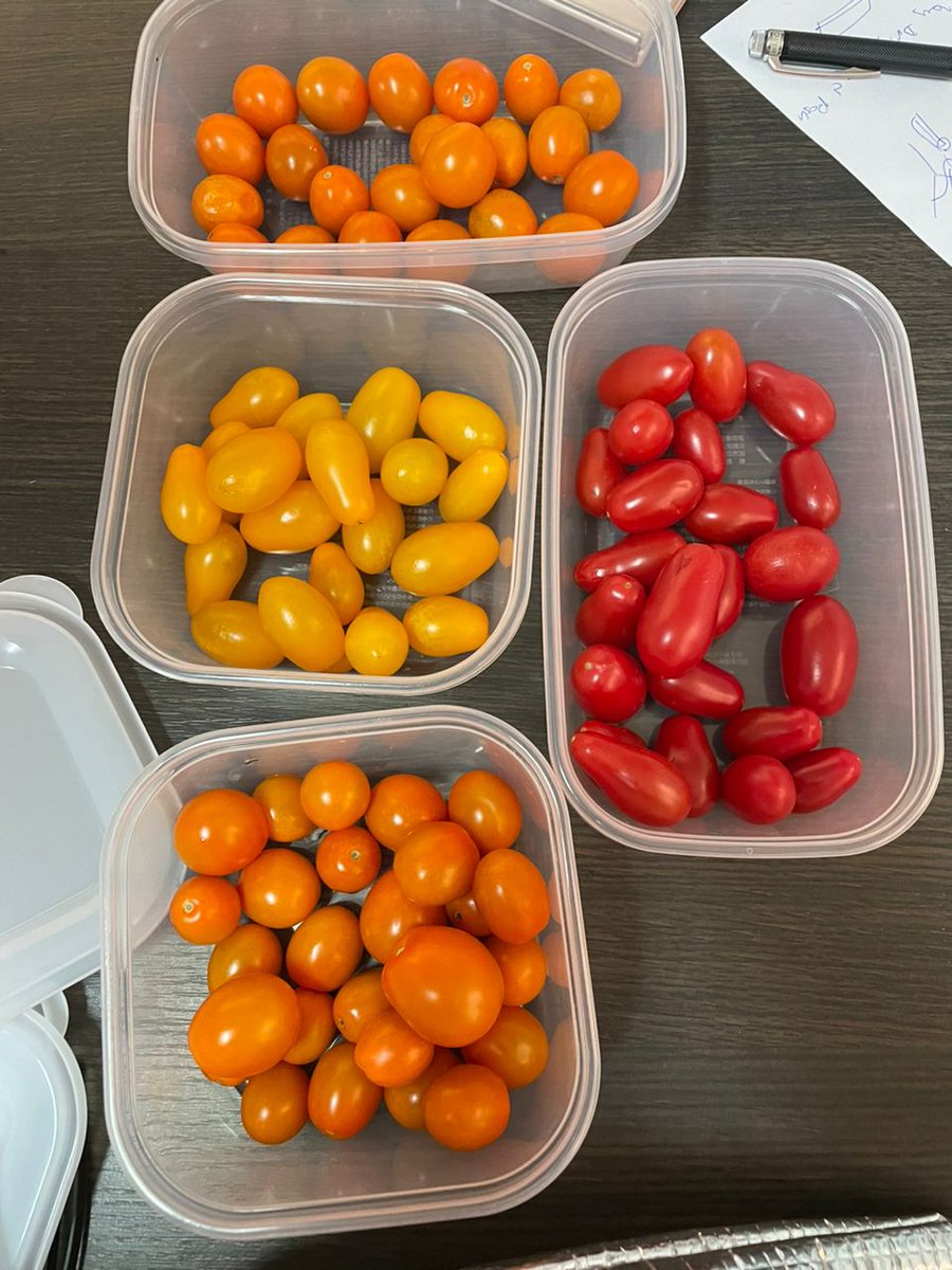 RDI | Responsive Drip Irrigation tweet media