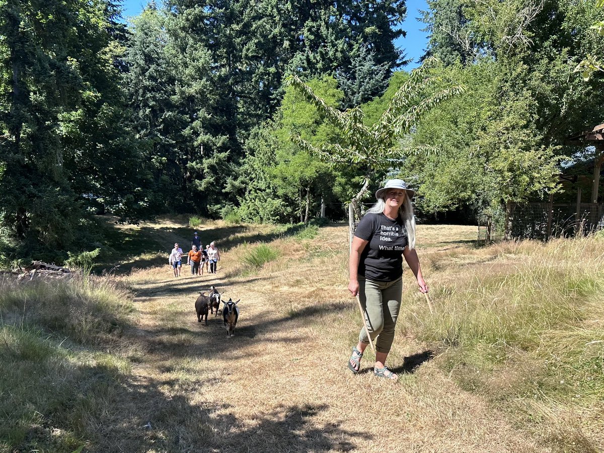 It's Matthew tweet media