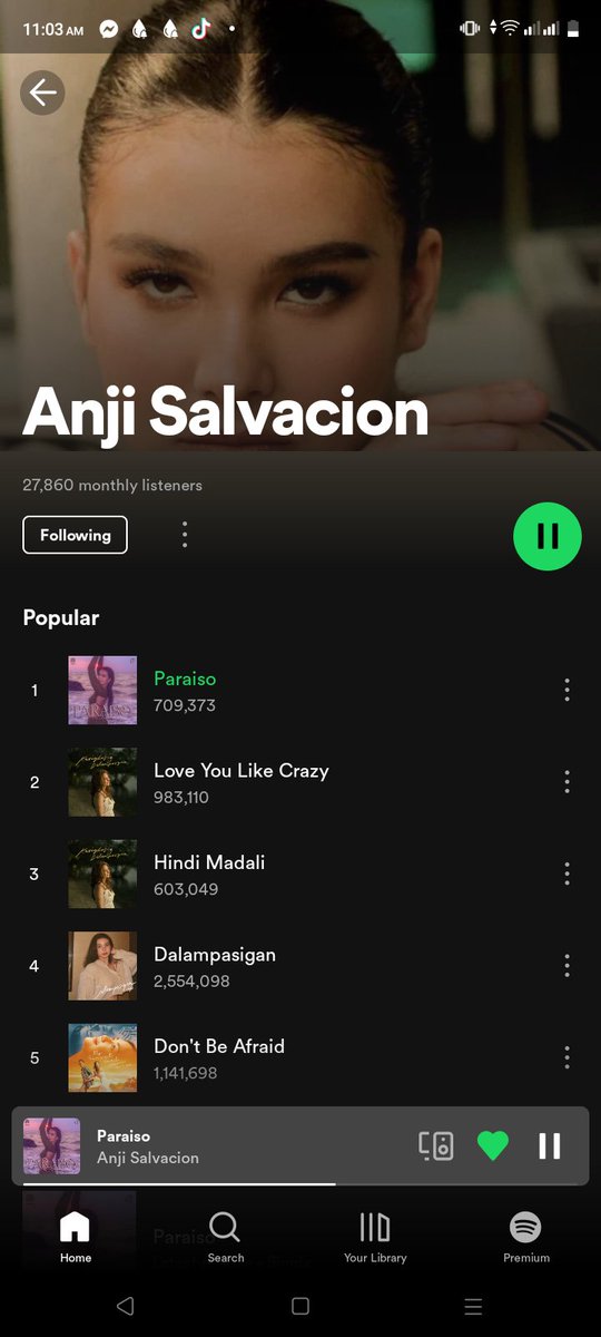Badass072's tweet photo. Let's achieve that another millis for anj Spotify playlist .. pantayin natin lahat hihi
#AnjiSalvacion #AnjiParaiso #LYLC #HindiMadali https://t.co/8oyu9IZY8x