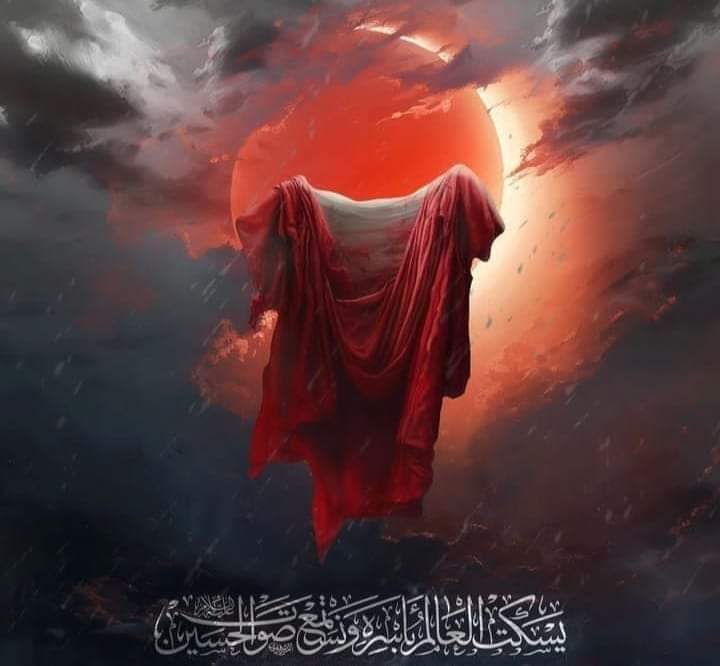 Syeda ایلیا NaQvi tweet media