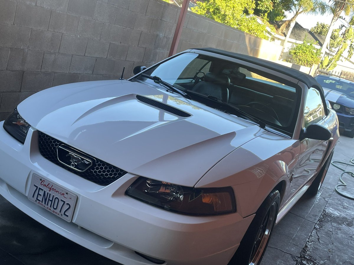 ISA1AS3000's tweet photo. Canvas convertible top upgrade for new edge mustang like the cobra top instead of vinyl convertible top. #mustang #cobra #newedge #convertible https://t.co/4XZQSHWj7H