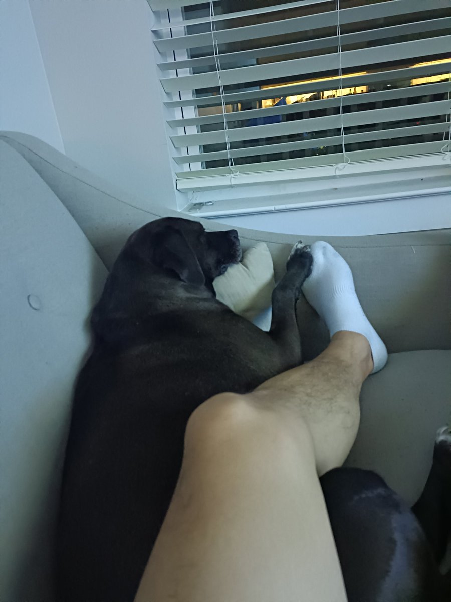 拿开你的🐶爪着