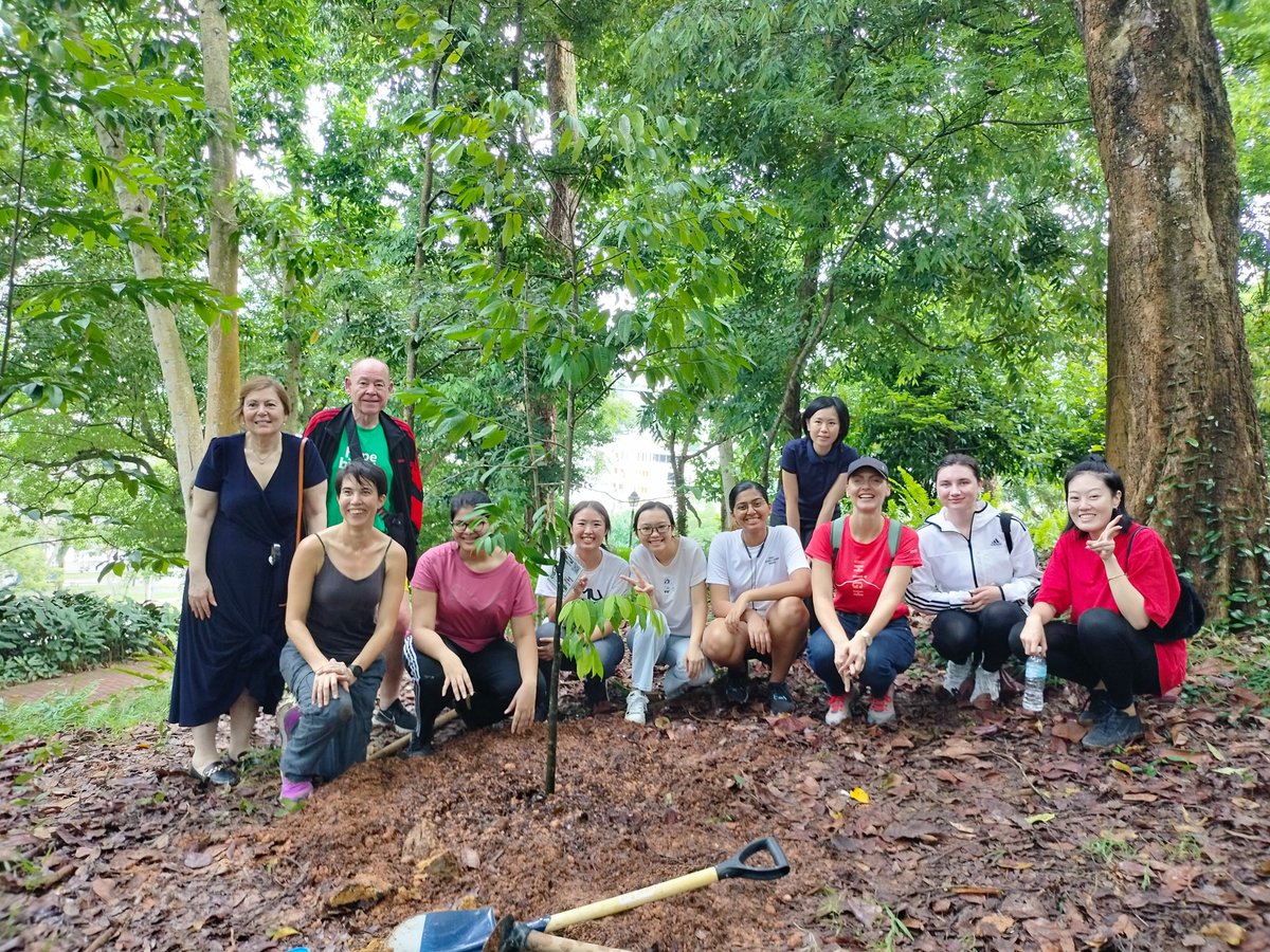 FutureEnvLaw's tweet photo. Native Tree Planting @ Fort Canning a wonderful conclusion to our @sgSMU @SgSMUYPHSL Sustainability Law conference. Huge thank u to Gayle Ho, Flora Yeo, Kevin Lim, Ong Bo Qing & Lena Chan @nparksbuzz #OneMillionTreesSG #Rewilding (to pre-Javanese settlement) #FortCanning 1/4 https://t.co/926x9Tykpc