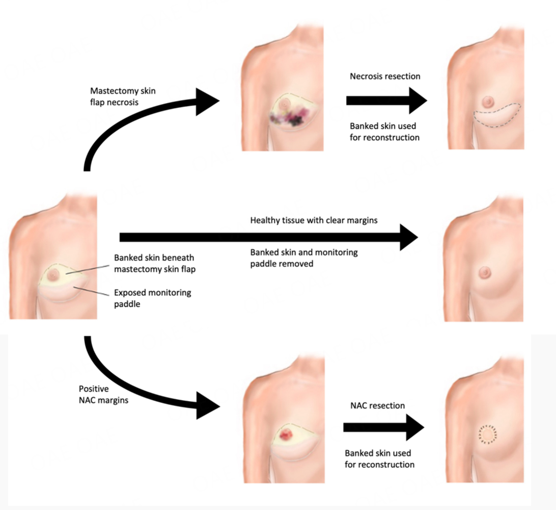 Plast Aesthet Res tweet media