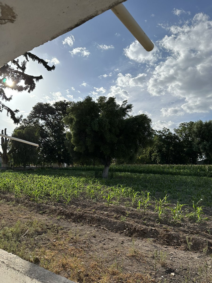 🇲🇽
