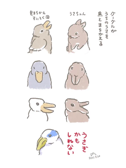 🦆🐇鳥と判定されるポーズのこと