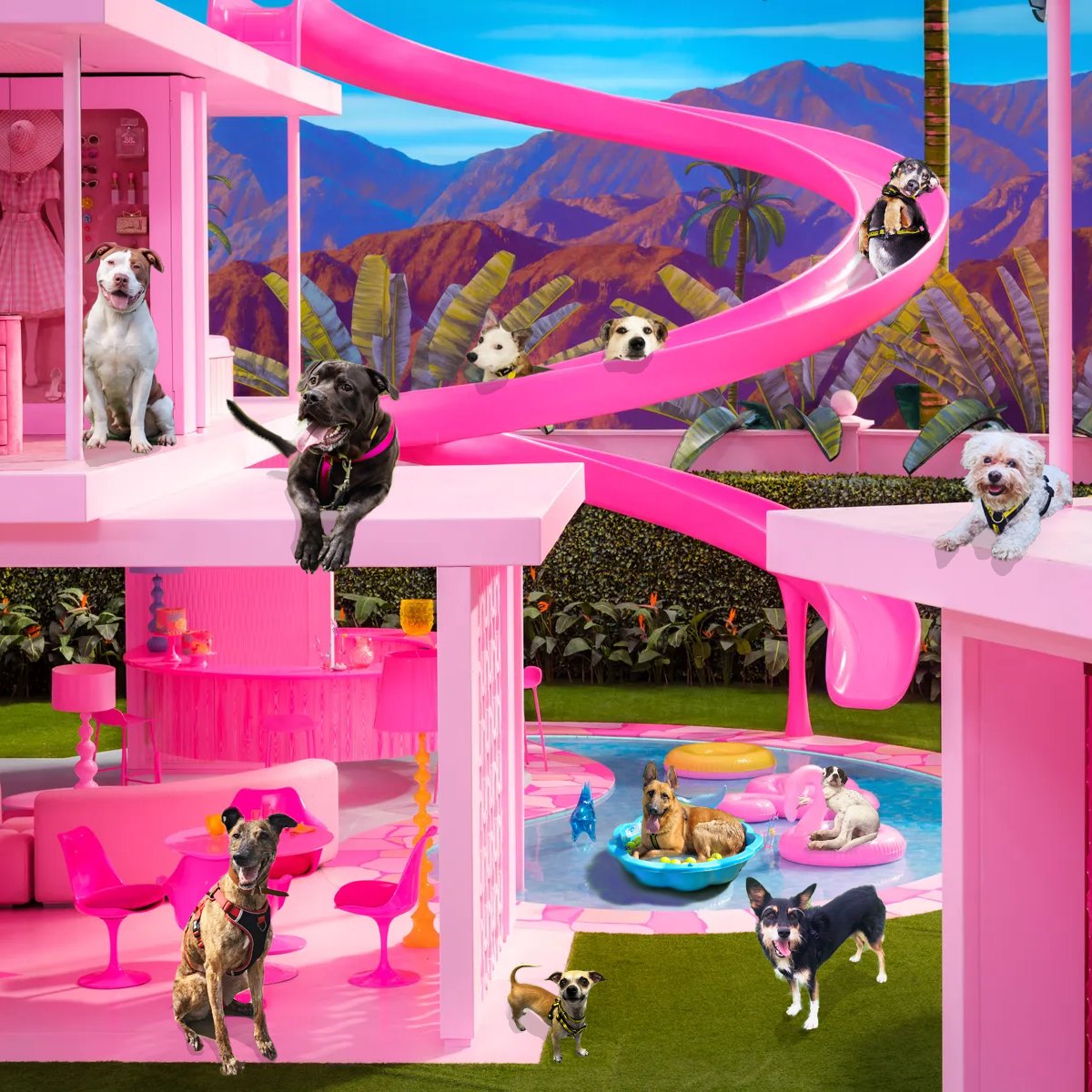 With the Barbie Movie coming out this week, it got us thinking...whilst the Barbie Dream House is lovely, a house is never truly a home without a dog....or 11! So we thought we'd takeover and make it a REAL dream house 💛🐶💗 Can you spot them all?