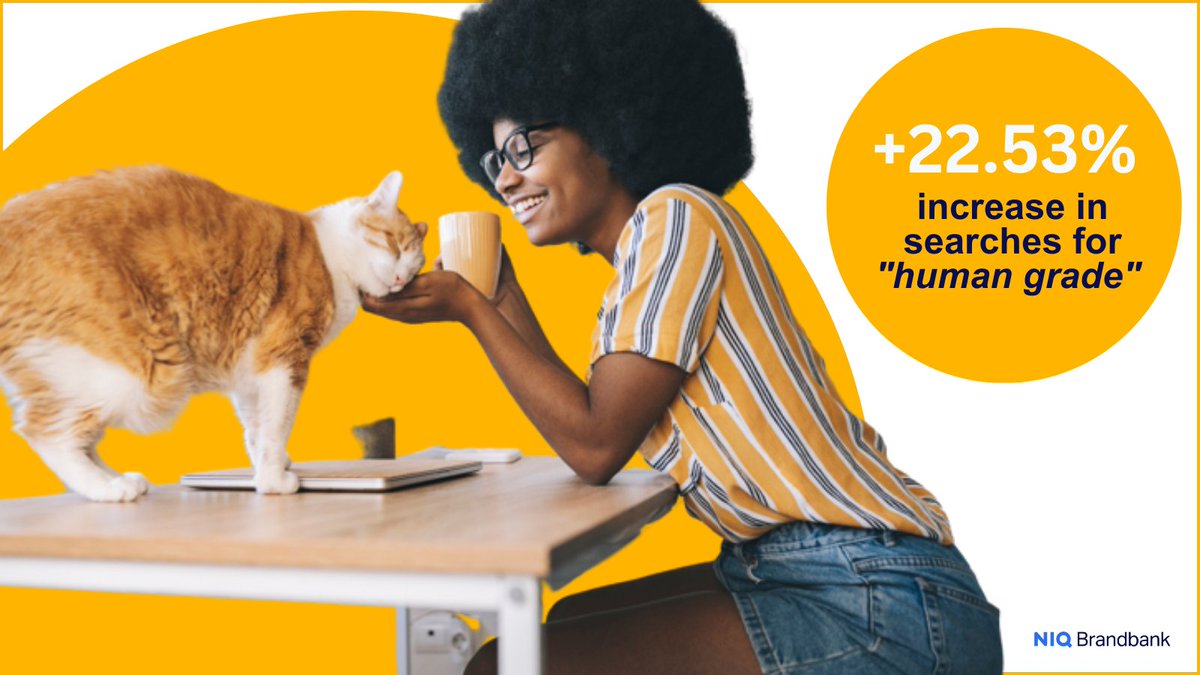 👶🐶🐱 Statistics show that as many as 94% of American pet owners and 1 in 3 British pet owners view their pets as their children. 

🛒But what does this pet 'humanisation' mean for key pet shopping trends? 

Download the full report  here 📰🐶👇h.nniq.co/zLrG50PfSx3