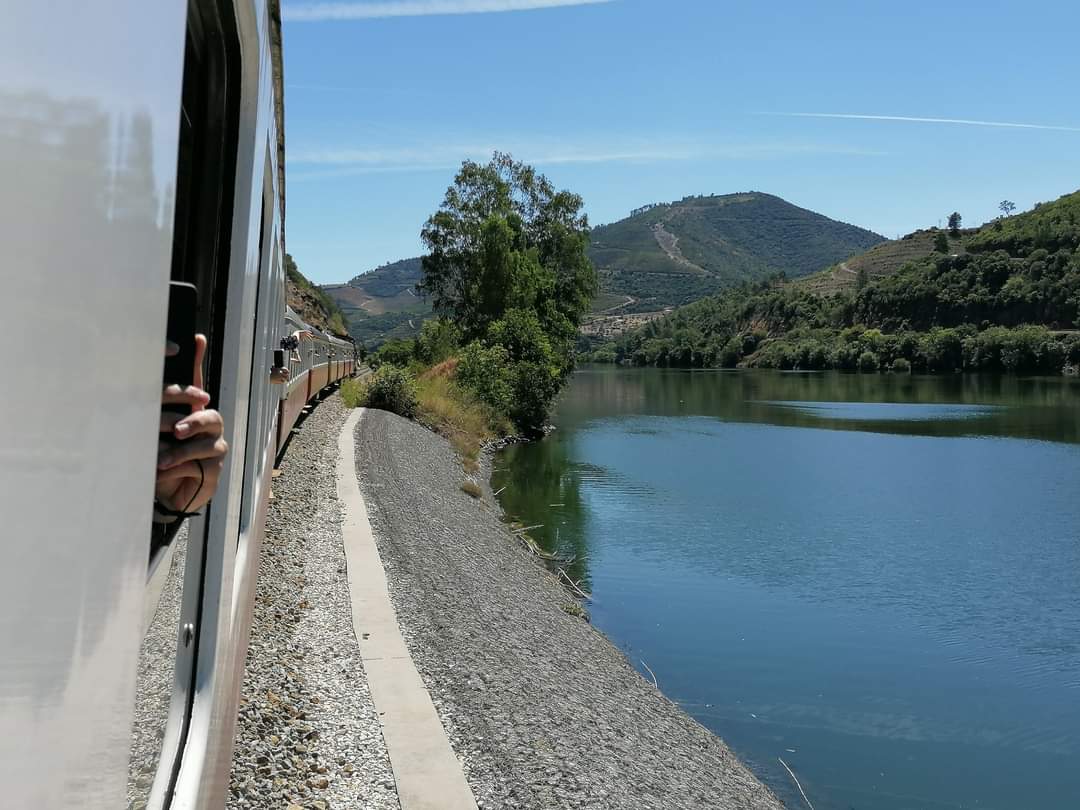 skymanuelima's tweet photo. Desfrute de uma belíssima viagem de comboio entre a Régua e o Pinhão, num dos percursos mais elogiados do Douro, célebre pelos seus socalcos e vistas incríveis, esta região vinhateira vai surpreendê-lo. #Regua #Pinhao #Linha_do_Douro #comboio #travelphotography #FotógrafoAmador https://t.co/WipZhEMusa