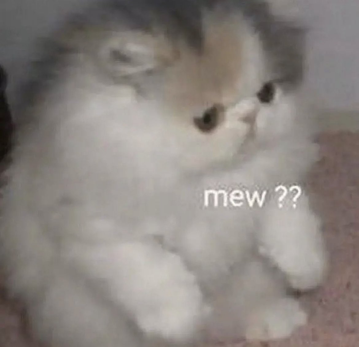 mikomangubat's tweet photo. @iskompetent Piste?????? https://t.co/zFnSvrBMJM