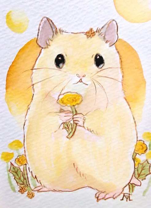 「hamster whiskers」 illustration images(Latest)