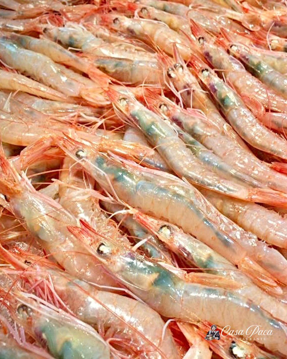 En Casa Paca, sabemos cómo consentirte con nuestras Gambas blancas de Huelva, una auténtica exquisitez que te transportará a las costas
andaluzas con cada bocado. Cómo te apetecen: al
ajillo, a la plancha o cocida!? Tú eliges!!

☎ 923 218 993
#CasaPaca #GastroPlaceres #Salamanca