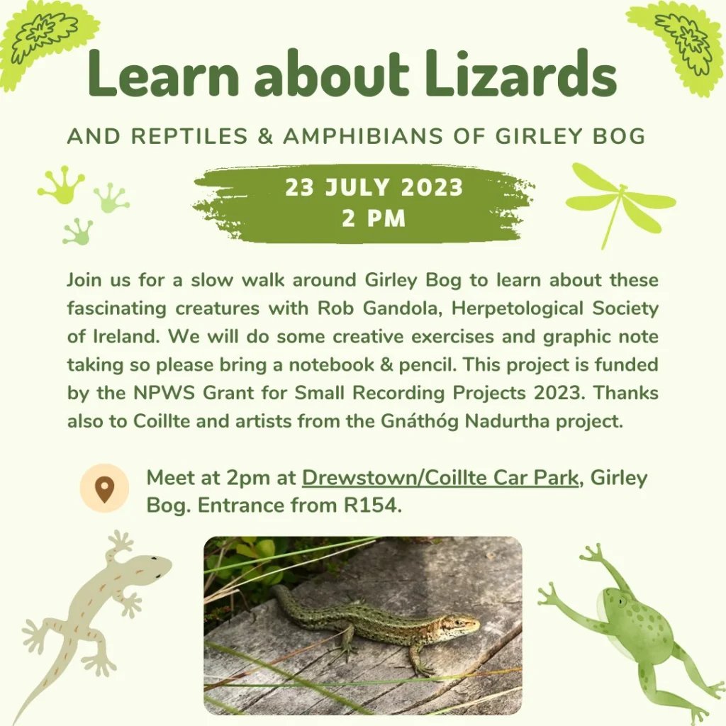 🇮🇪 Learn about lizards at Girley Bog, County Meath, Ireland Join for a slow walk around Girley Bog to celebrate International #BogDay and the diverse flora and fauna it supports. 2/5