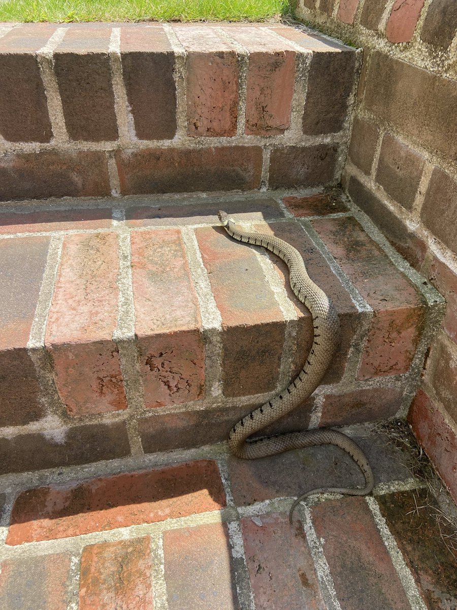 James May tweet media