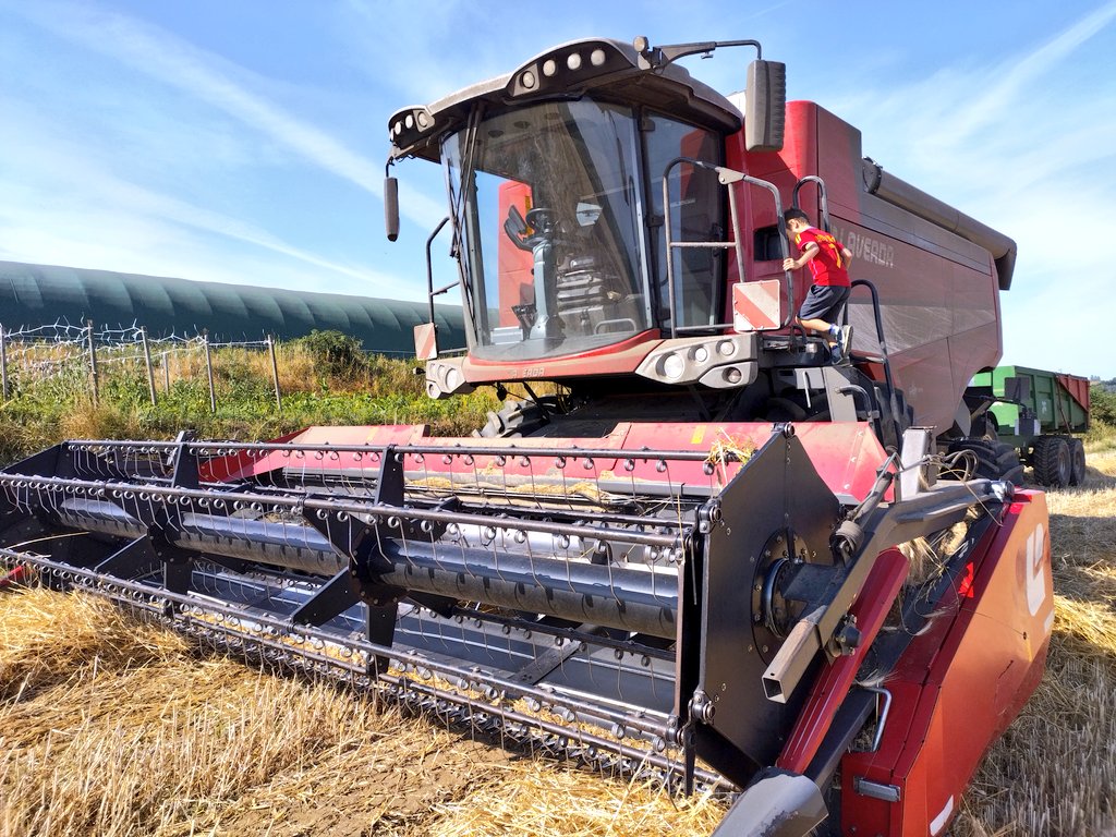 sylagri's tweet photo. Ça sent le clap de fin, derniers hectares pour cette  #Moisson23 restera #Tournesol et #Fleurs . https://t.co/MphWxNn3KC