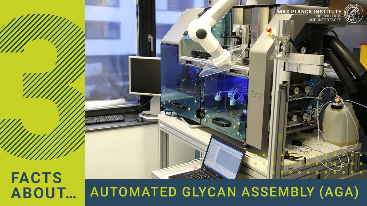 🔬 Automated glycan assembly (AGA) is a method of 🚀 rapidly and accurately synthesising complex sugars using machines and special chemicals for various applications in scientific research. Here are three facts you need to know about AGA. (A Thread 🧵)