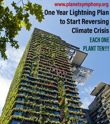 Greenery is our most organic defence against the #ClimateCrisis. Each one of us only needs to plant 10 trees but also inspire everyone else to do so. Pls DM / email planetsymphony@gmail.com to join &amp; lead our Collective Micro #ClimateAction Movement (CMCAM) today. We CAN do it!!!