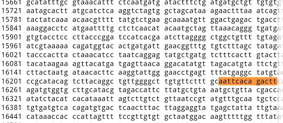 FoolsMultiply's tweet photo. Is #SarsCoV2 a Product of Reverse Genetics Using #VacciniaVirus Based Recombination? Why did Lars Hagen's own investigation stop at discovering the #VacV AATTCACAGACTT sequence in #SarsCoV2 samples? #RaTG13 https://t.co/nSIW8XHfAc
