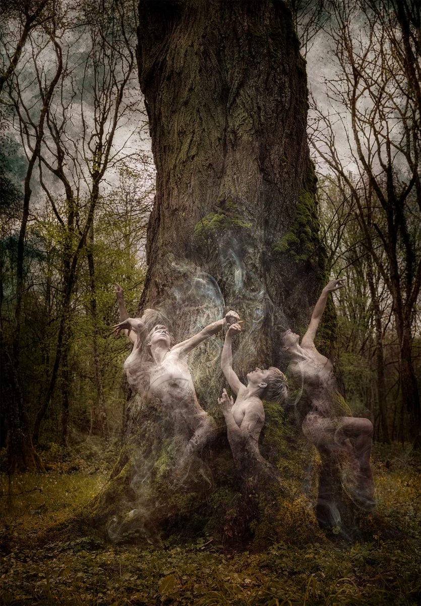 ChateauFougeret's tweet photo. "Le cercle de fées" 
-
Modèle : Céline Guillaume
Photographe : Gilles Courat
-
#broceliande #mystical #legend #etheric #fantastic #magicalforest #photography #fantasticwoman #choregraphy #faeries #darkbeautymag #fantasy #elementalwoman #elemantal #imagesphotosrennes https://t.co/BskfEztNBE