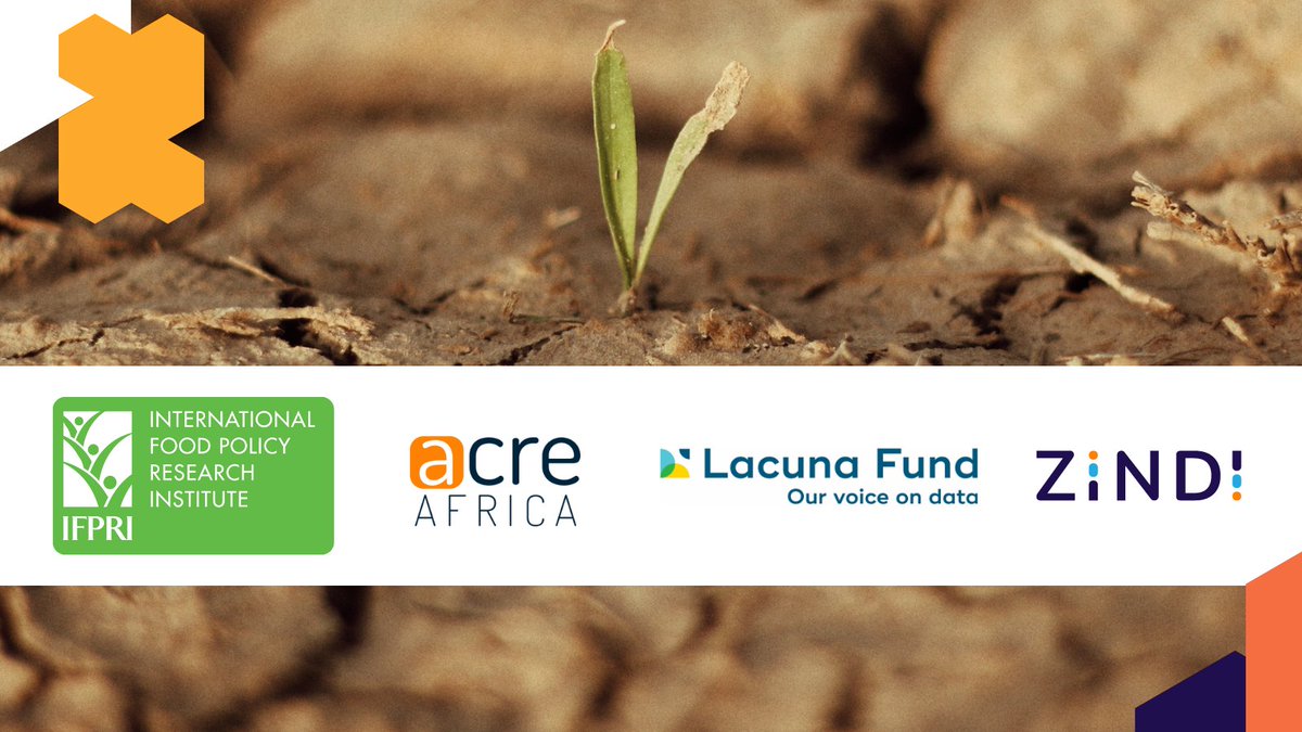 We are thrilled to announce our partnership with @IFPRI, @acreafrica and @LacunaFund! Keep your eye on the Zindi Competitions page. We have exciting things to come! ✨🚀
#globalpratnerships #stewardship #datascience #machinelearning #drought #detection #dataforgood