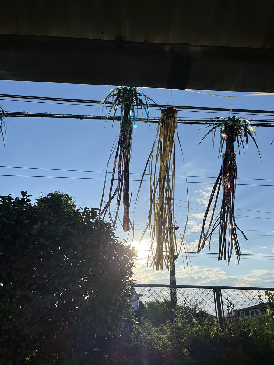 maycee61's tweet photo. ほのぼの🥰
今日は、湿度が低くてすっきり快適💕
風が心地よいです🙆‍♀️
今週も、あともう一息って言っても
あんまり関係ないなけど
夏色のナンシー、もとい、
夏色のメイシーだ👙
#スローライフ　#早見優 https://t.co/2l0pJNeWsY