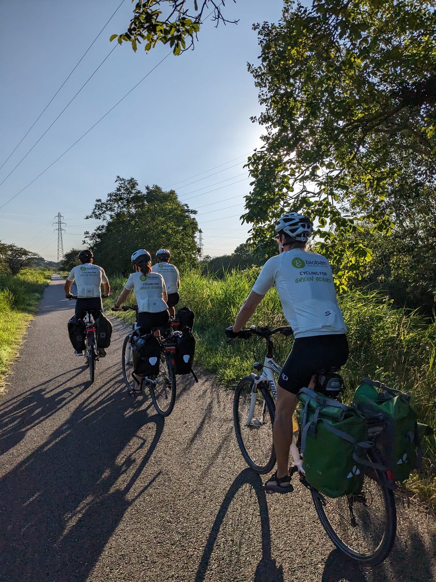 AnaConesa tweet media